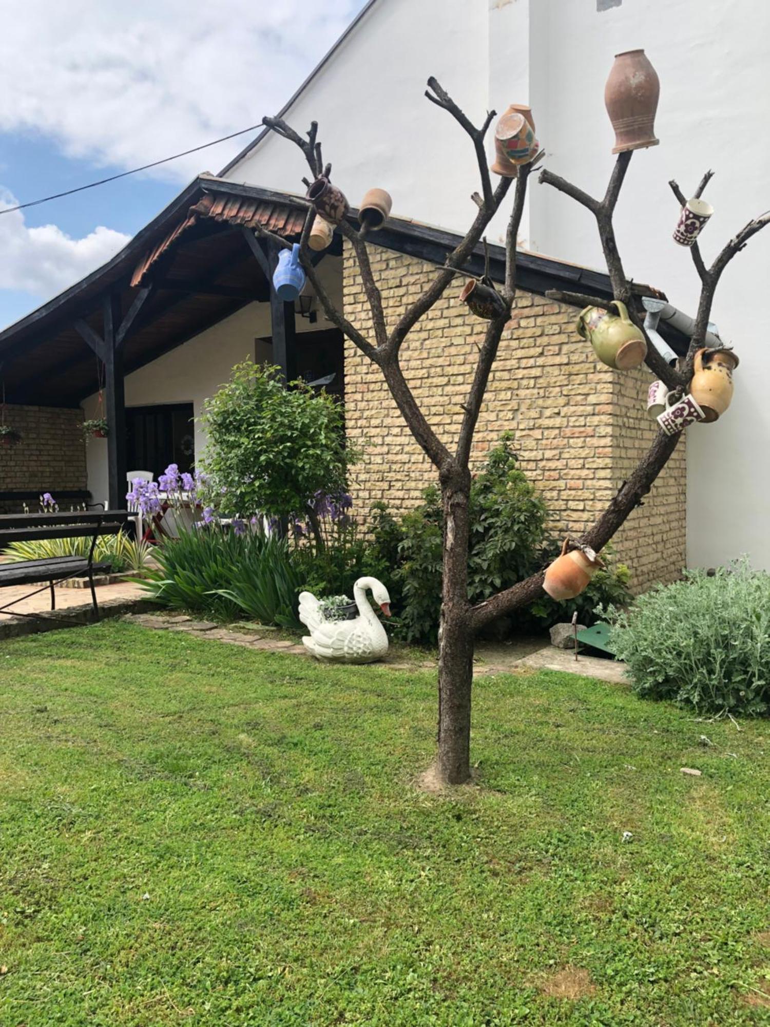Guest House Anna Vendeghaz Svetozar Miletic Exterior foto